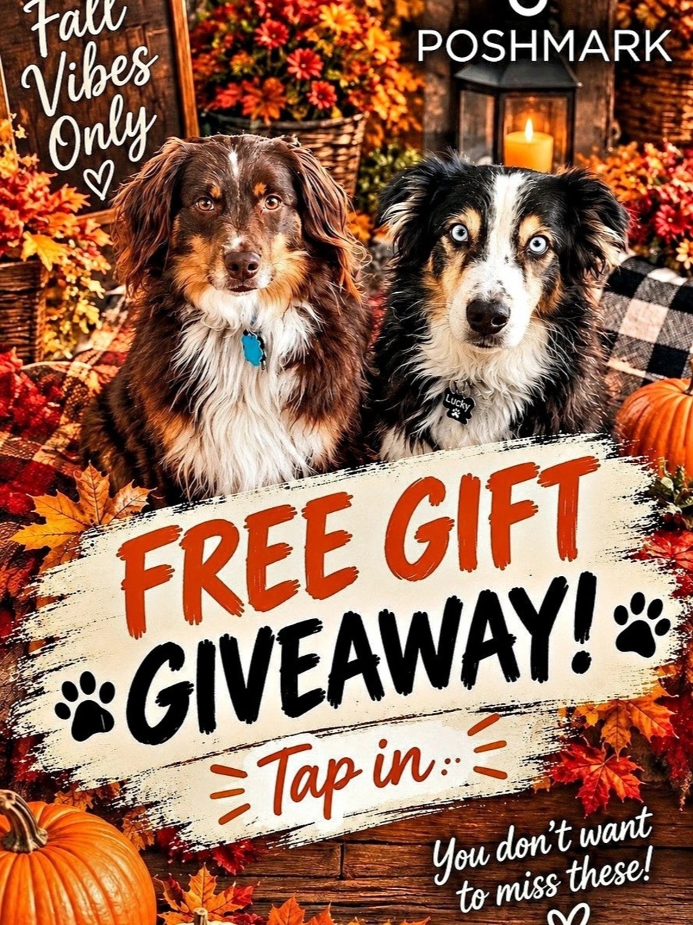 🐾 Congrats!!! You won Free Shipping 🍁🍂